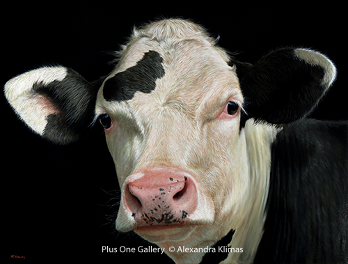 Alexandra Klimas, ‘Rosie the Calf’, 2018, Painting, Oil on canvas, Plus One Gallery