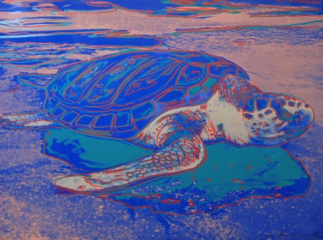 Andy Warhol, ‘Turtle F&S ll.360A’, 1985, Print, Screenprint on Lenox Museum Board, Vertu Fine Art