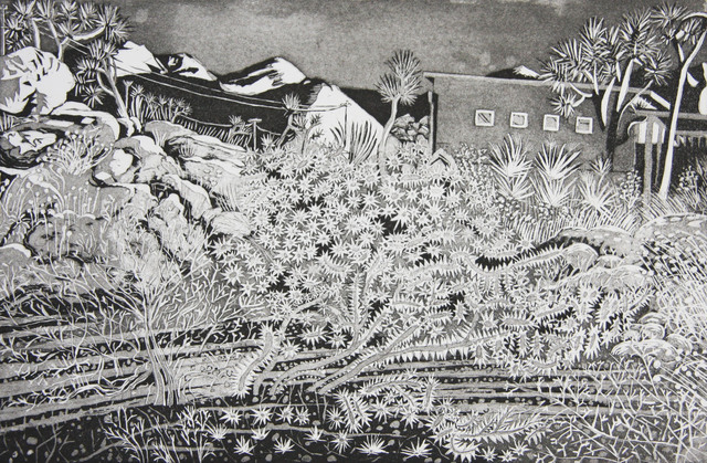 Kate Crook, ‘Joshua Tree #6’, 2017, Print, Lithograph, edition 50. Somerset white paper, acid free, Asher Grey Gallery