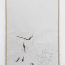 Patricia Dauder