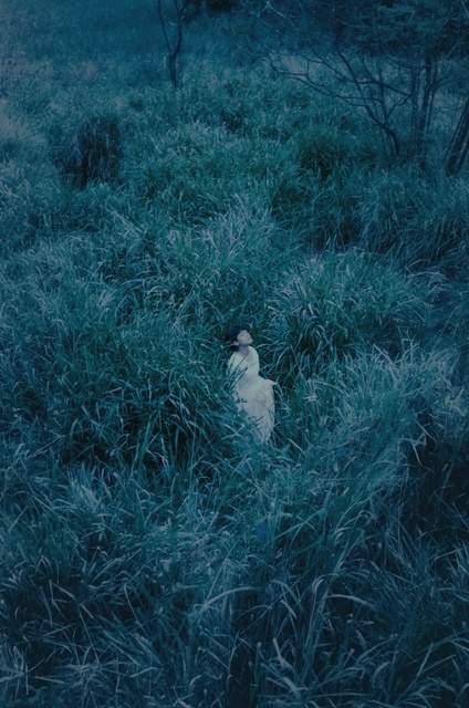 Au Tze Long 34 Artworks Bio Shows On Artsy