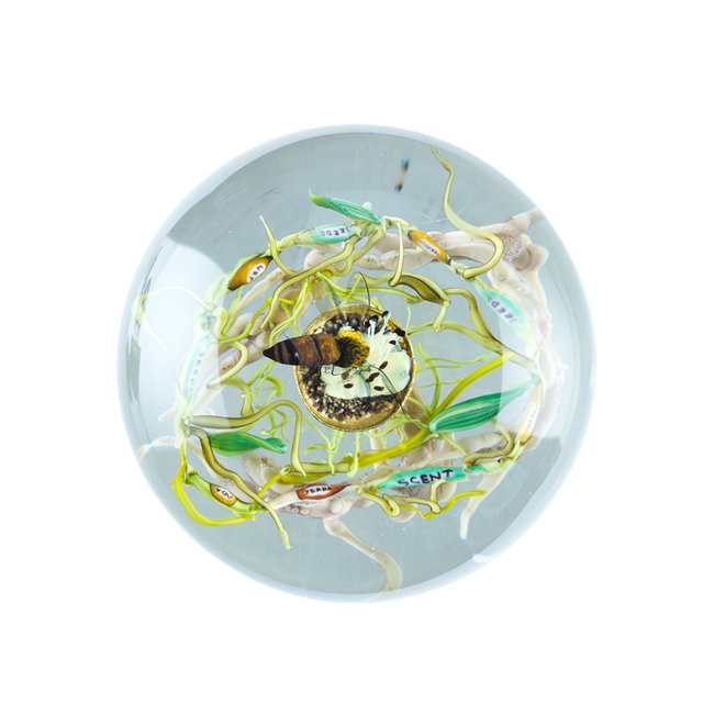 Paul Stankard, ‘Paperweight with root people, bee, flower, and word canes ("seeds," "wet," "you," "terra," "scent," "fertile"), Millville, NJ’, 1995, Rago