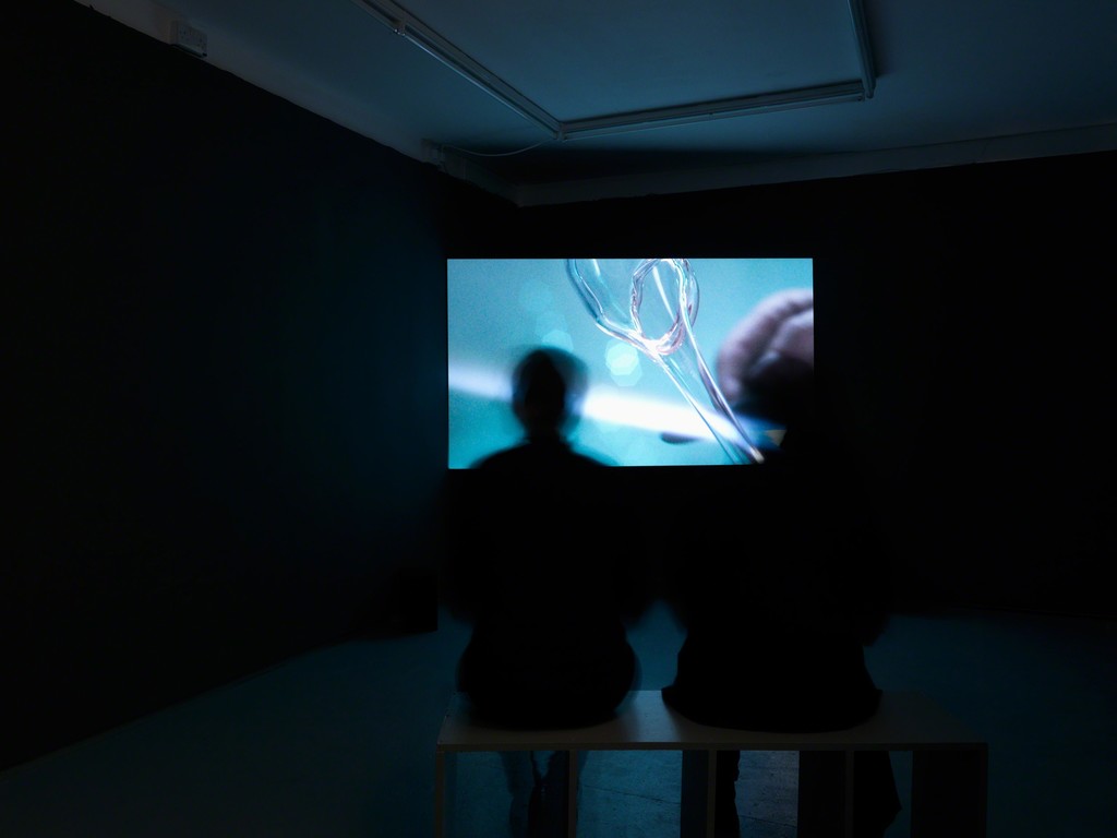 Install shot, Ilona Sagar, 'Haptic Skins of a Glass Eye', 2015, Tenderpixel. Photo by Original&theCopy.
Courtesy of the artist and Tenderpixel. Install shot, Ilona Sagar, 'Haptic Skins of a Glass Eye', 2015, Tenderpixel. Photo by Original&theCopy.
Courtesy of the artist and Tenderpixel.