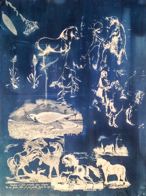 Peggy Cyphers, ‘Hawk’, 2015, Cross Contemporary Partners