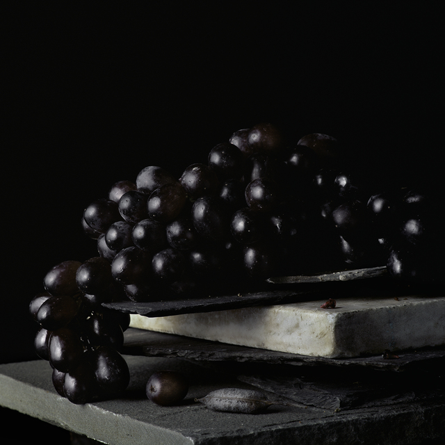 Paul Cary Goldberg, ‘Still Life with Grape’, Pucker Gallery