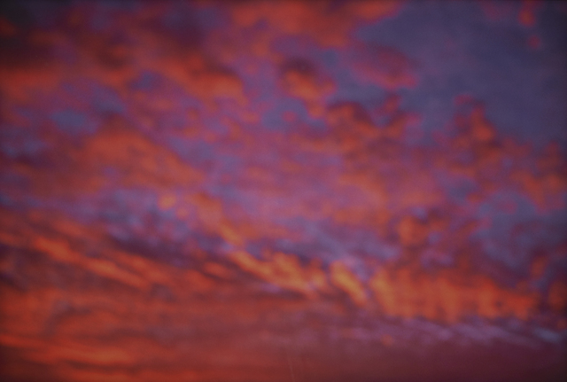 Nan Goldin - Artworks for Sale & More | Artsy