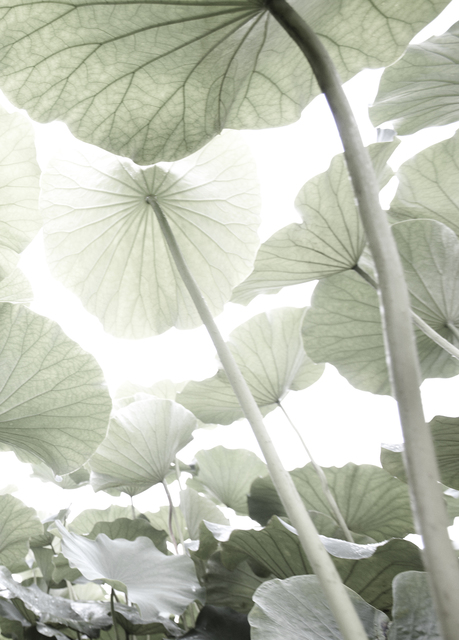 Kim Yongho, ‘Pian 2011_001-01’, 2015, GALLERY SU: