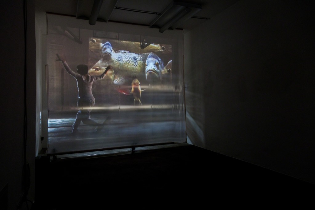 Doris Schmid, "BLINK", 2-channel video installation, 2013 | image: ©dasesszimmer Doris Schmid, "BLINK", 2-channel video installation, 2013 | image: ©dasesszimmer