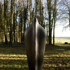 Stephen Cox