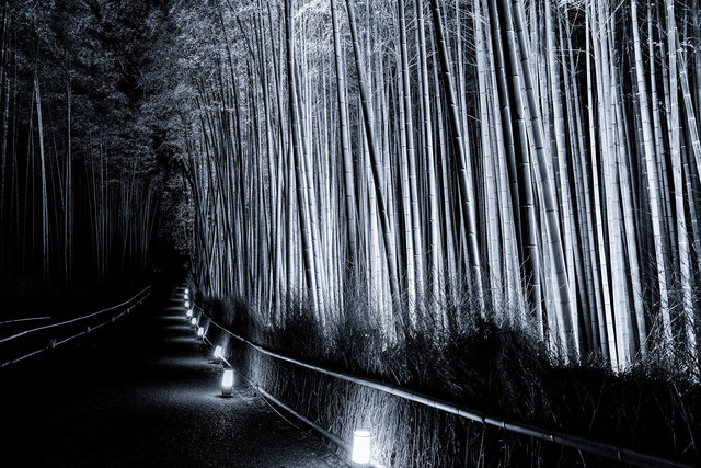 Takeo Hirose, ‘Skyscrapers No.4’, 2018, Photography, Archival Pigment Print, BBA Gallery