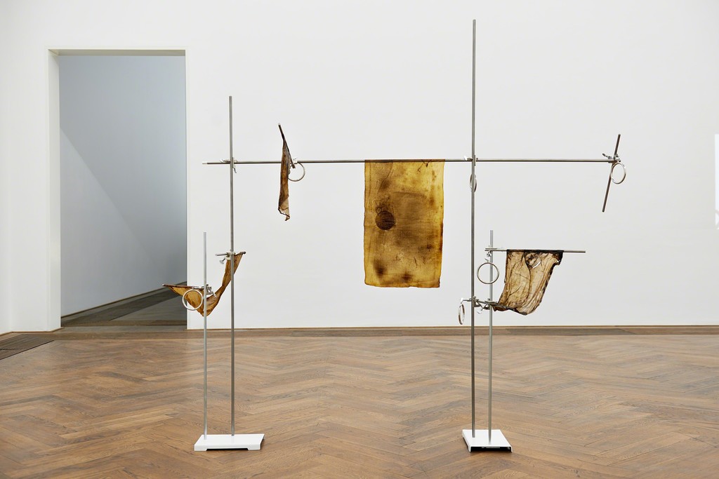 Anicka Yi, Of All Things Orange or Macedonian Wine (2015) in "7,070,430K of Digital Spit," Kunsthalle Basel, 2015 Photo: Philipp Hänger Anicka Yi, Of All Things Orange or Macedonian Wine (2015) in "7,070,430K of Digital Spit," Kunsthalle Basel, 2015 Photo: Philipp Hänger