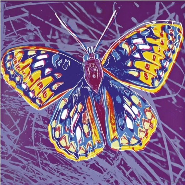 Andy Warhol, ‘San Francisco Silverspot’, 1983, Print, Screenprint on Lenox Museum Board, Lush Art Agency