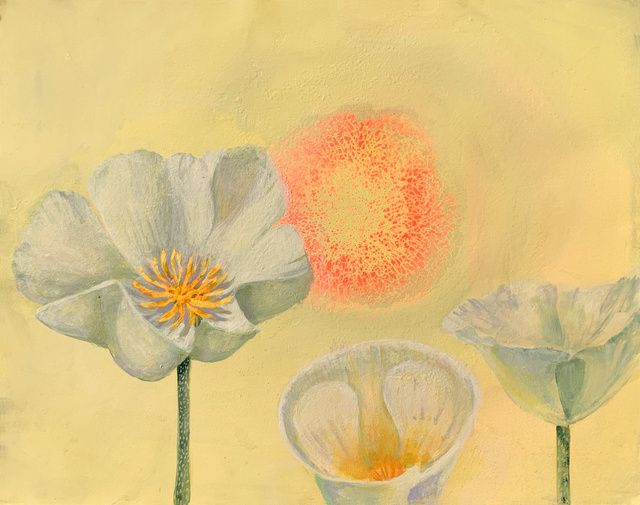 Nancy Diamond 48 Artworks, Bio & Shows on Artsy