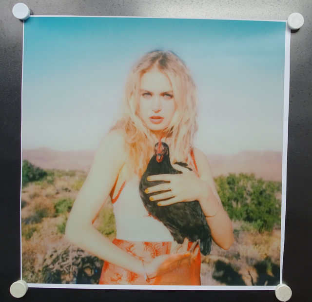 Stefanie Schneider, ‘Penny Lane’, 2017, Photography, Lambda Print based on a Polaroid, not mounted, Instantdreams