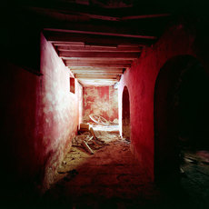 Thomas Jorion