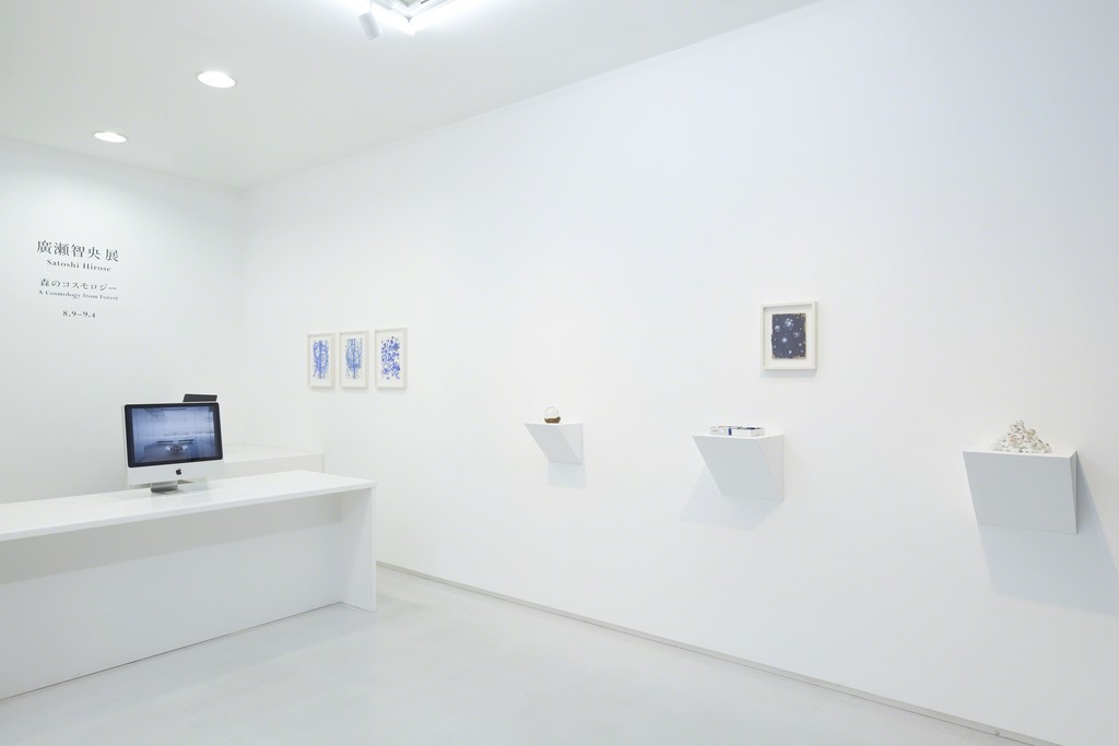 Installation view from “A Cosmology from Forest” 8/ ART GALLERY/ Tomio Koyama Gallery, 2017 ©Satoshi Hirose, photo by Kenji Takahashi Installation view from “A Cosmology from Forest” 8/ ART GALLERY/ Tomio Koyama Gallery, 2017 ©Satoshi Hirose, photo by Kenji Takahashi