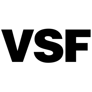 Various Small Fires logo