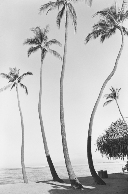 Henry Wessel ヘンリー・ウェッセル GALLERY MIN Henry Wessel Jr.: House Pictures | Fraenkel Gallery
