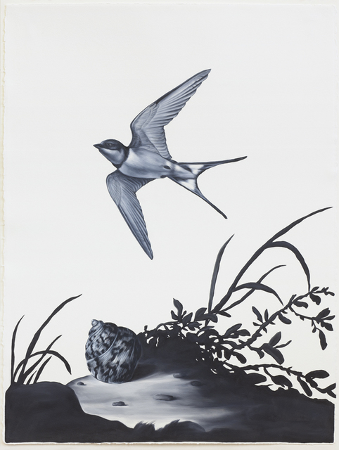 Shelley Reed, ‘Swallow and Shell (After Beert)’, 2018-2020, Drawing, Collage or other Work on Paper, Oil on Arches oil paper, Sears-Peyton Gallery