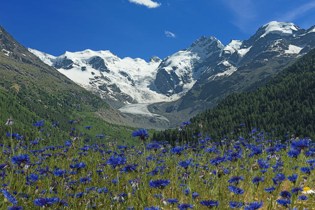 Ralf Peters, ‘Gletscher Blau’, 2016, Bernhard Knaus Fine Art