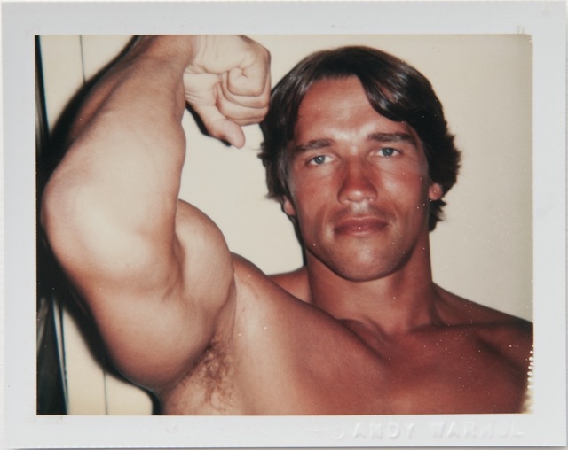 Andy Warhol, ‘Andy Warhol, Polaroid Portrait of Arnold Schwarzenegger’, 1977, Hedges Projects