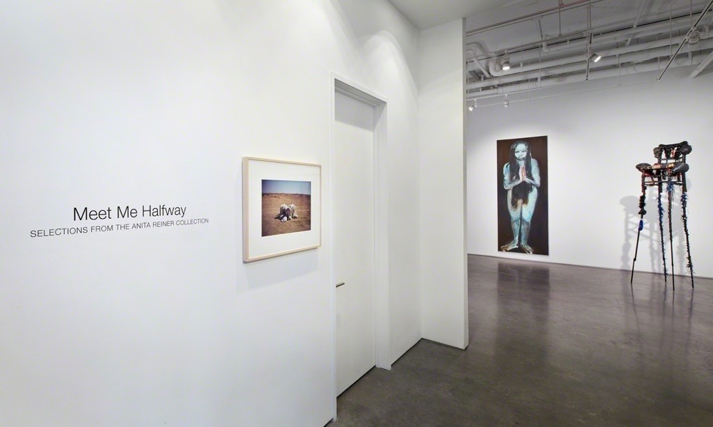 Installation view: Meet Me Halfway: Selections from the Anita Reiner Collection, 2015. © John Muggenborg Installation view: Meet Me Halfway: Selections from the Anita Reiner Collection, 2015. © John Muggenborg