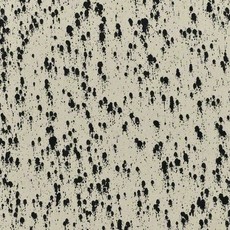 Lucien Smith