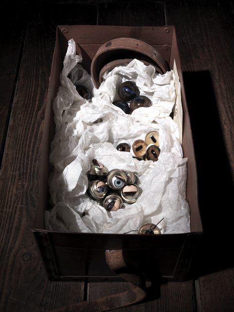 Bepi Ghiotti, ‘Inside Carol Rama’, 2012-2014, Musée d'Art Moderne de la Ville de Paris