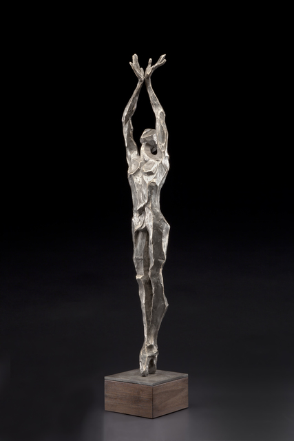 Gail Folwell, ‘Falling Snow’, ÆRENA Galleries and Gardens