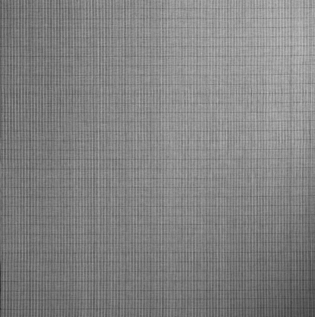 image-zoom