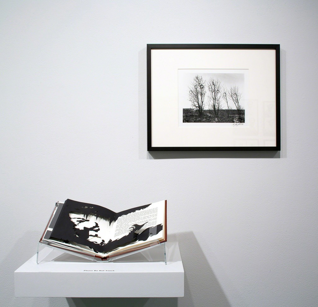 Installation view, "Hope and Anger — The Civil Rights Movement and Beyond," Tang Teaching Museum, 2014 Installation view, "Hope and Anger — The Civil Rights Movement and Beyond," Tang Teaching Museum, 2014