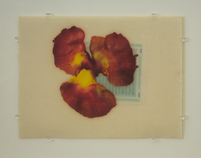 José María Sicilia, ‘La luz que se apaga’, 1997, Fernández-Braso