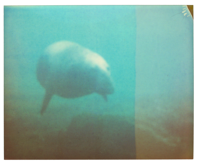 Stefanie Schneider, ‘Dugong - Stay, Contemporary, Abstract, Landscape, Polaroid, Photograph’, 2006, Photography, Analog C-Print, printed by the artist on Fuji Archive Crystal Paper, based on a Polaroid, Instantdreams