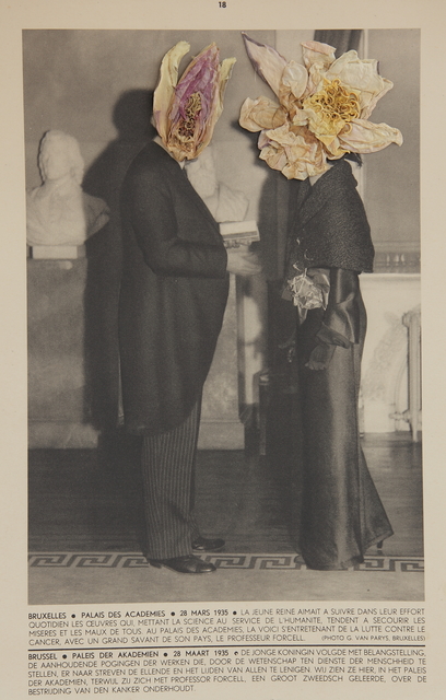 Lien Botha, ‘Plant Press Waterlilies’, 2009, Photography, Archival pigment print, Barnard