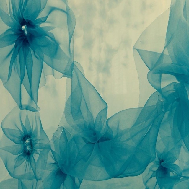 Karin Dando-Haenisch, ‘Ethereal Blue’, 2015, Print, Archival digital gilcee print on matte paper, Friends Seminary Benefit Auction