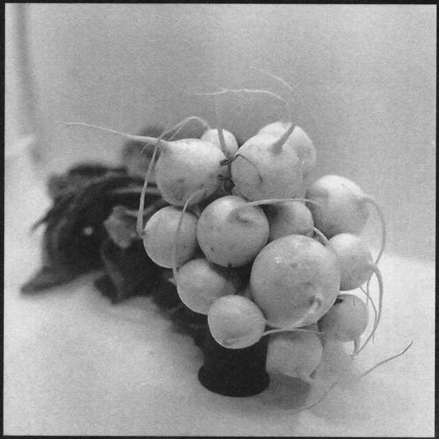 Denise Oehl, ‘Turnips’, 2018, John Davis Gallery