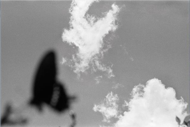 Lee Gap-chul, ‘Okinawa’, 2007, Photography, Three Shadows +3 Gallery