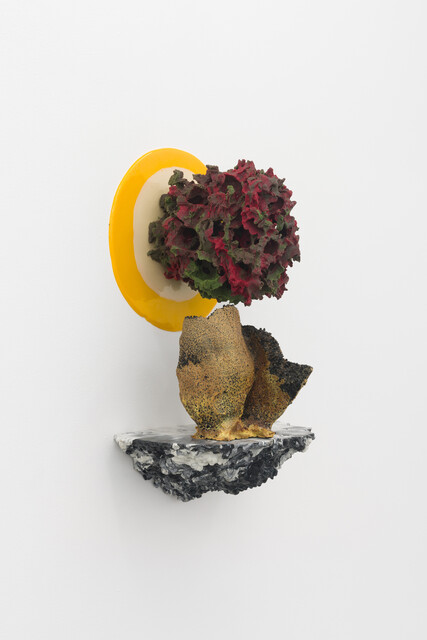 Andrew Sabin