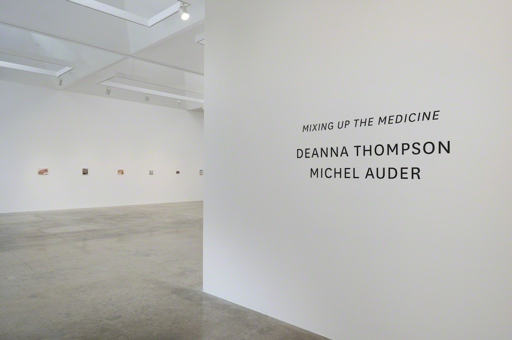 Deanna Thompson, Installation View, Photo Credit: Robert Wedemeyer, Courtesy of Kayne Griffin Corcoran Deanna Thompson, Installation View, Photo Credit: Robert Wedemeyer, Courtesy of Kayne Griffin Corcoran