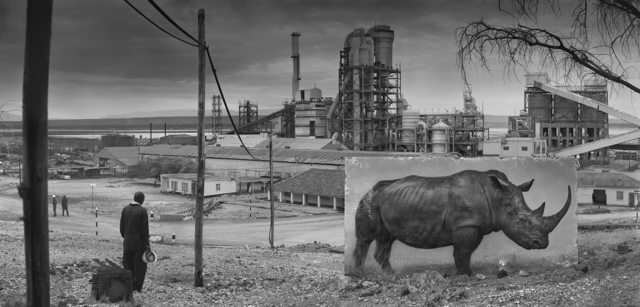 Nick Brandt, ‘Factory with Rhino’, 2014, Photography, Archival Pigment Print, Fahey/Klein Gallery