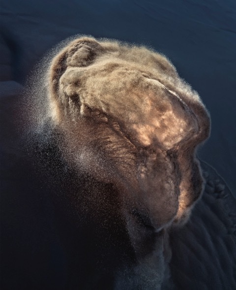 Wolfgang Bohusch, ‘9212’, 2018, OSME Fine Art