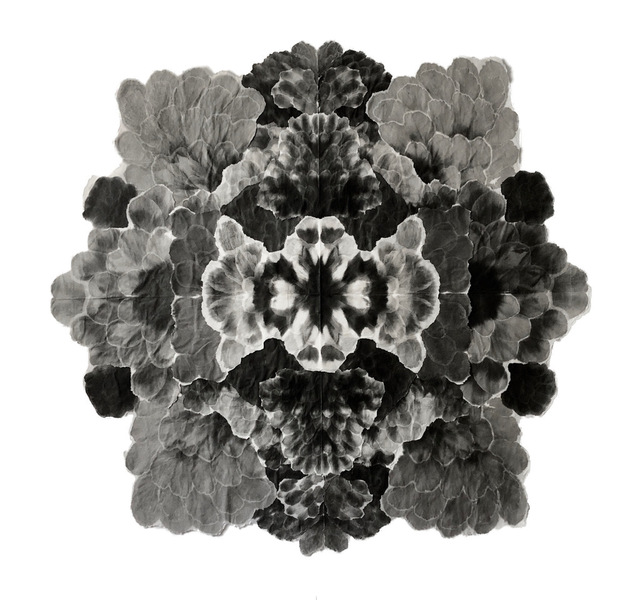 Allison Svoboda, ‘Mandala Bean Blossom’, 2010-2015, Drawing, Collage or other Work on Paper, Sumi-e ink on Mulberry paper, Olson Larsen Gallery