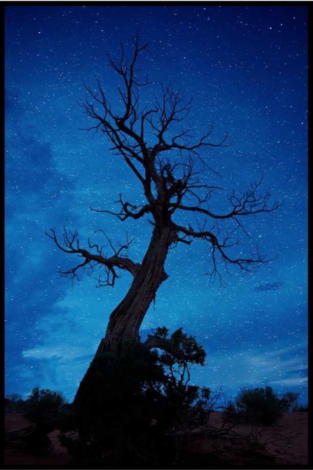 BETINA SAMAIA
Sem título (Noturnos), 2014
Impressão jato de tinta sobre papel algodão montada em caixa de luz
180 x 120 x 15 cm
Tiragem de 7 + 2 P.A. BETINA SAMAIA
Sem título (Noturnos), 2014
Impressão jato de tinta sobre papel algodão montada em caixa de luz
180 x 120 x 15 cm
Tiragem de 7 + 2 P.A.