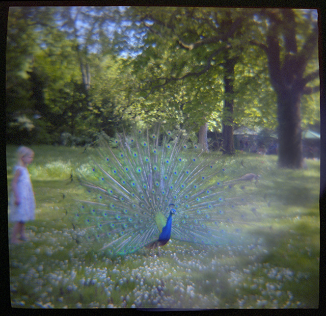 Mary Kocol, ‘Girl and Peacock, Parc de Bagatelle, Paris’, 2016, Gallery NAGA
