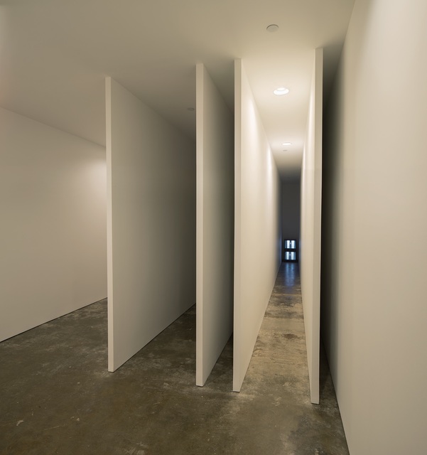 Bruce Nauman Corridor Installation (Nick Wilder