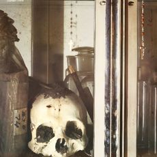 After Damien Hirst