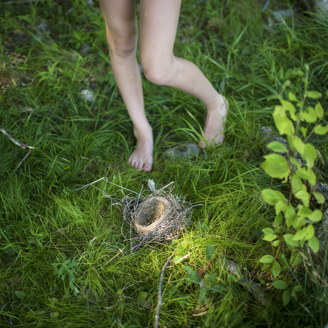 Cig Harvey, ‘The Bird's Nest, Syd, Lincolnville, Maine’, 2013, Photography, Chromogenic print, Robert Klein Gallery