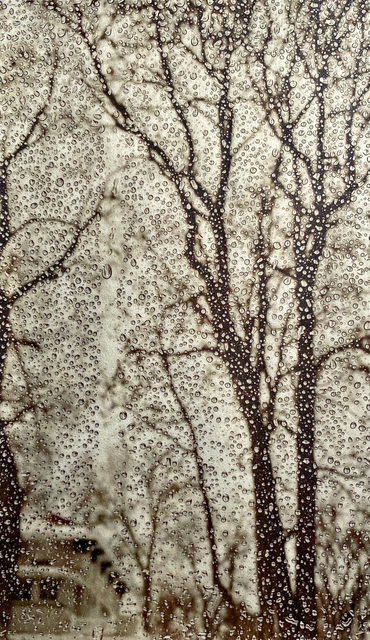 Wendi Schneider, ‘As the Snow Melts’, 2020, Photography, Pigment ink on vellum over white gold leaf, Rick Wester Fine Art