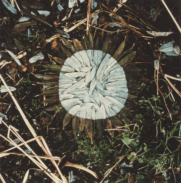 Andy Goldsworthy | Willow leaf patch, Izumi-mura, Japan, December 23rd ...