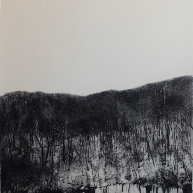 Irene González, ‘Paisajes en espera’, 2014, Drawing, Collage or other Work on Paper, Conte on paper, Galería Silvestre